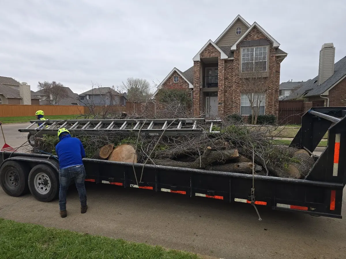 Expert Lot Clearing with proper safety equipment in Henning